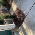 Landscaping Project