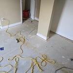 Pet perfect Mohawk carpet (1 bedroom) 12x15'6