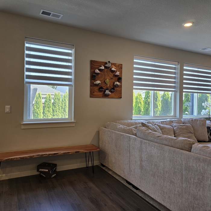 Motorized Zebra Shades Installation for Dining and Living Room