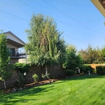 (Before) Trimmed height away from power lines