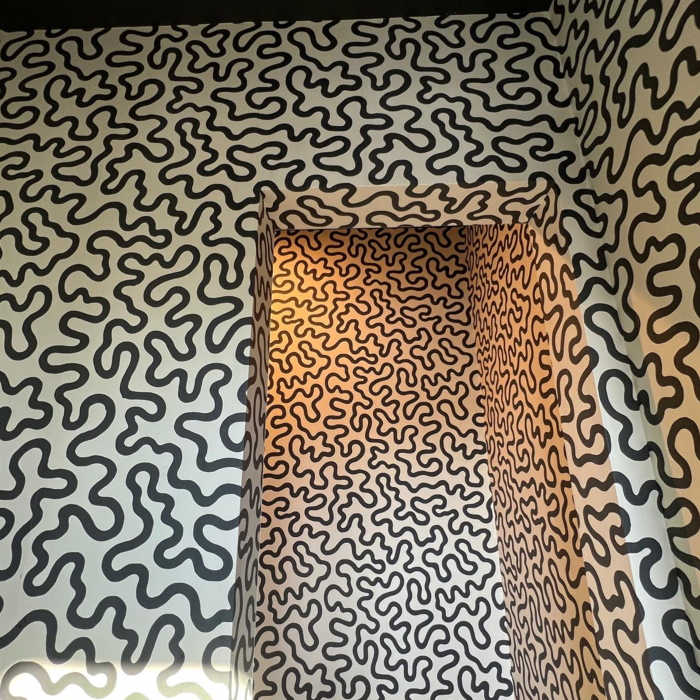 Wallpaper Installation San Diego