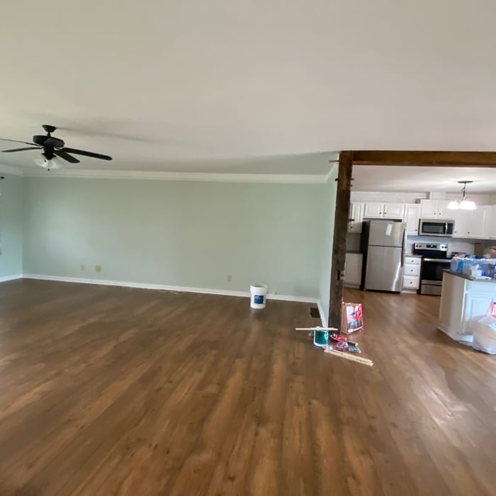 Whole house interior painting