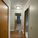 Whole house interior painting