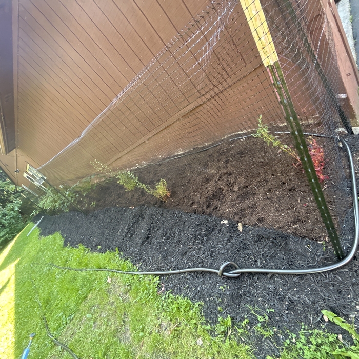 Landscaping Project