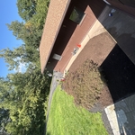 Landscaping Project