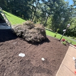 Landscaping Project