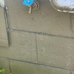 Plumbing Project