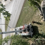 Tree Service Project