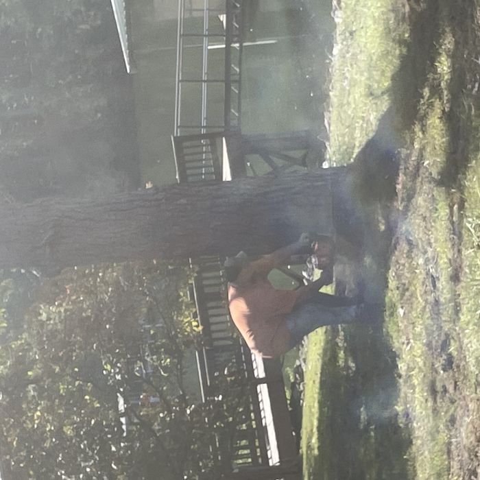 Tree Service Project