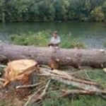 Tree Service Project