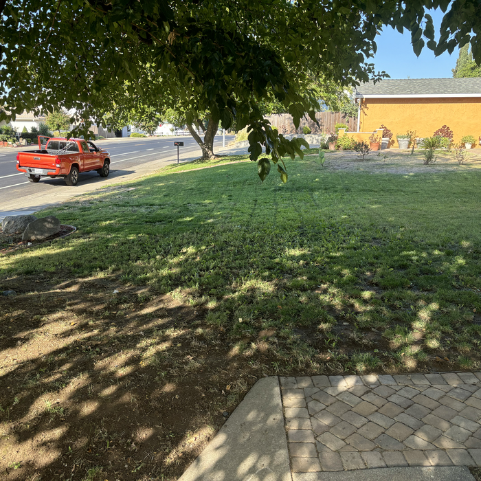 Additional Photos