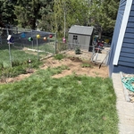 Paver steps/rock bed