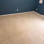 Carpet cleaning