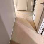 Carpet cleaning