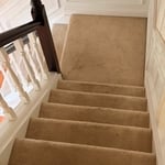 Carpet cleaning