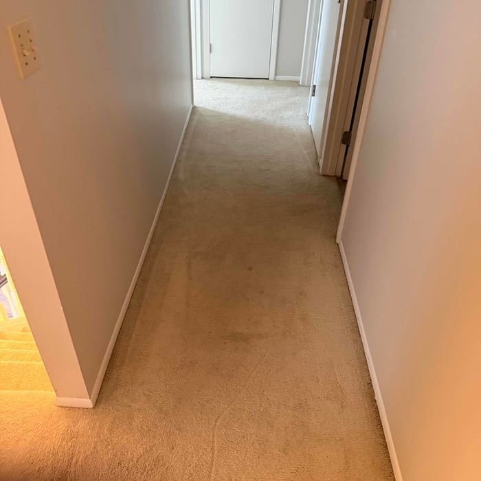 Carpet cleaning