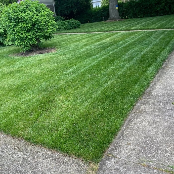 Lawn Care