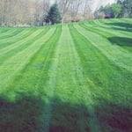 Lawn Care