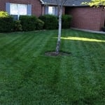 Lawn Care