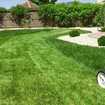 Lawn Care