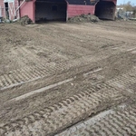 Leveling out a very wet barn yard for five friendly cows.
