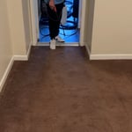 Carpet Cleaning Project