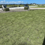 Sod Installation