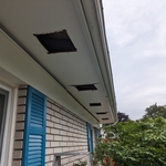Soffit and fascia