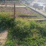 Landscaping Project