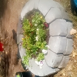 Handymen Project