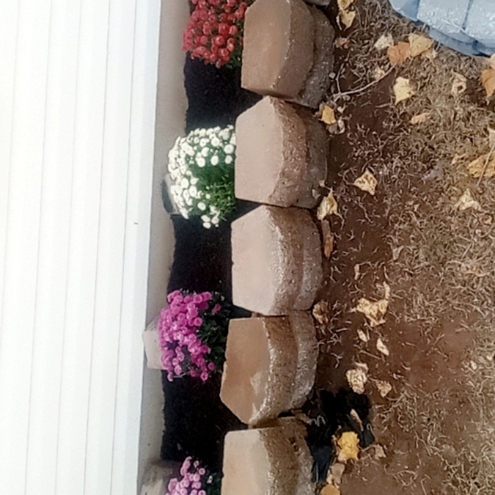 Additional Photos
