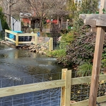 Fence install
