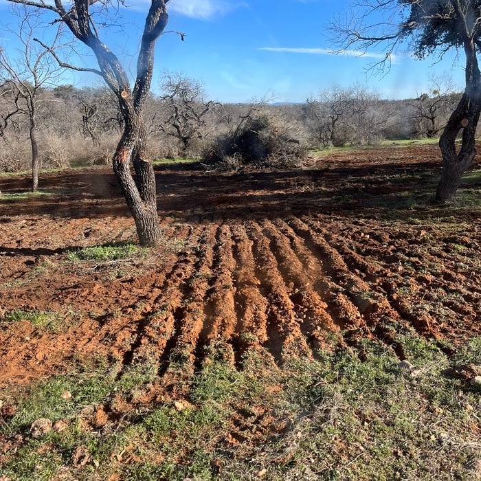 Additional Photos