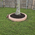 Landscaping Project