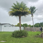 Landscaping Project