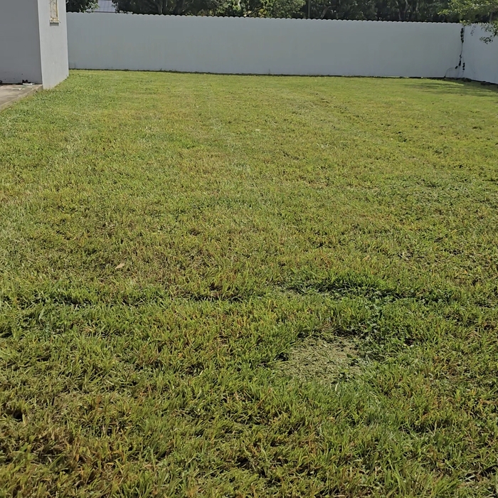 Landscaping Project
