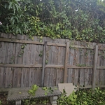 Landscaping Project
