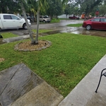 Landscaping Project