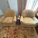 Upholstery Cleaning Project