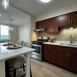 full remodel