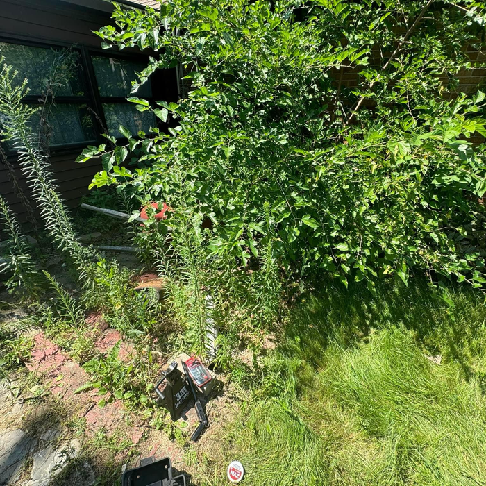 Additional Photos