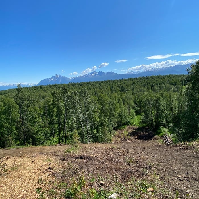 Hill clearing, Atv trail, Lawn install and sauna pad, hockey rink and parking area excavation.