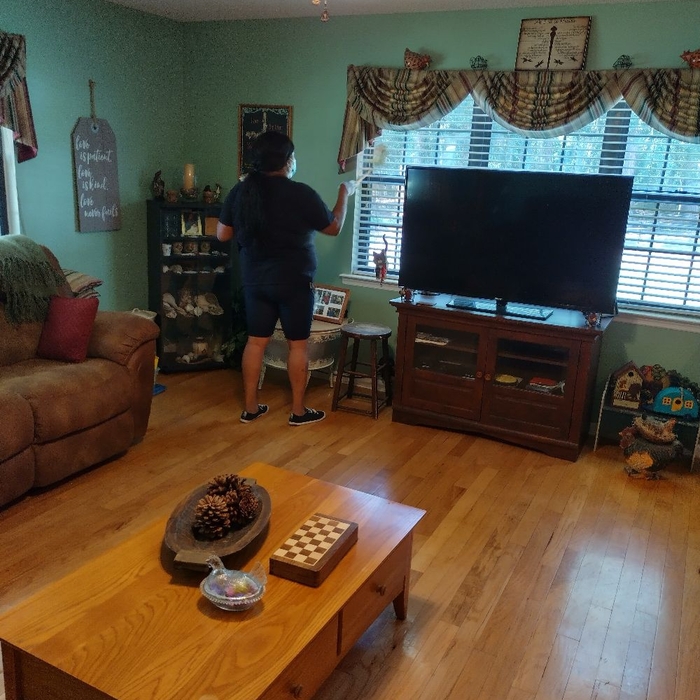 Housecleaning Project