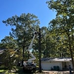 Tree Service Project