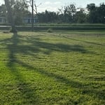 Lawn services