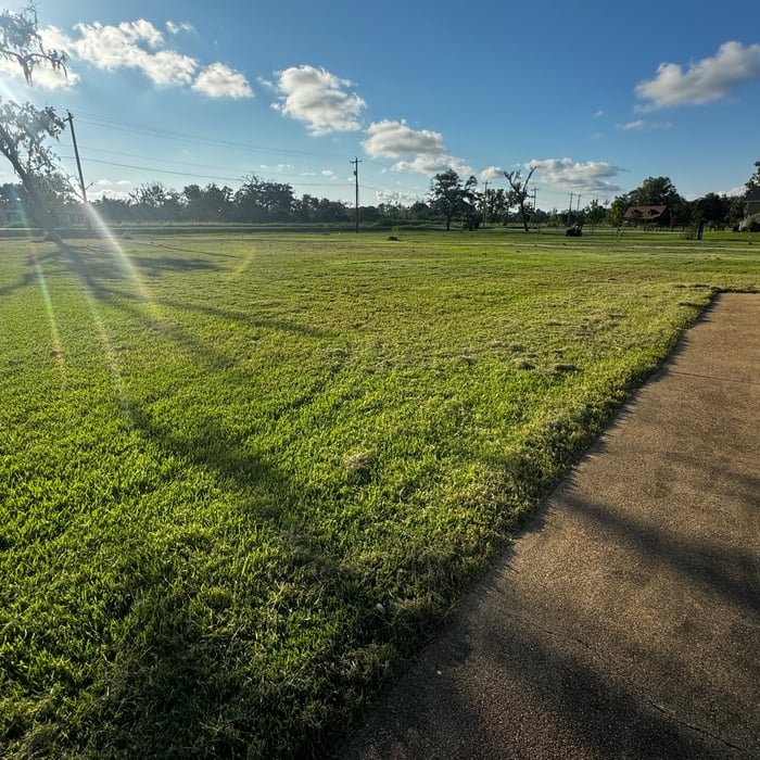 Lawn services