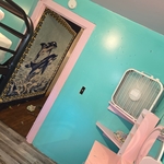 Interior painting and flooring
