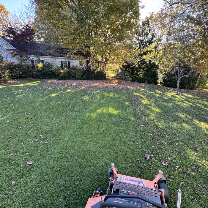 Additional Photos