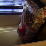 Housecleaning Project