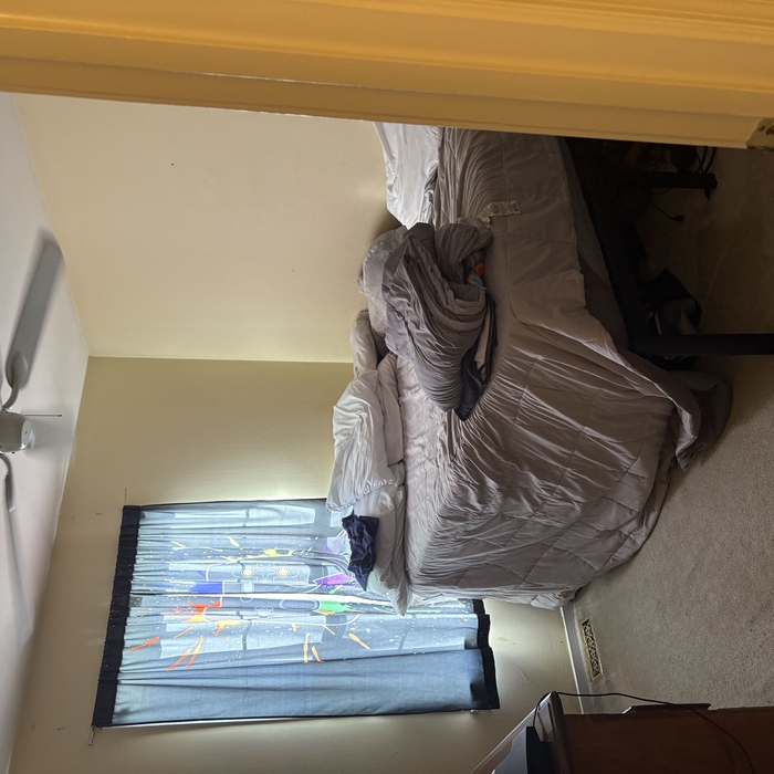 Housecleaning Project